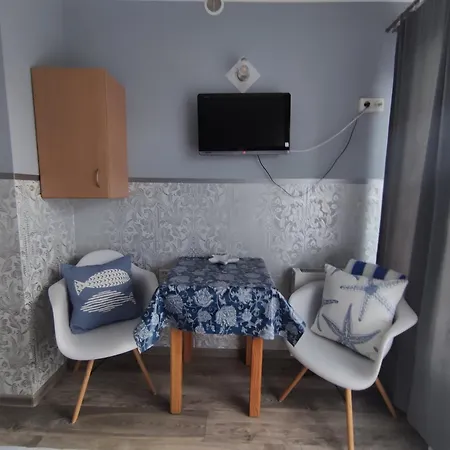 Bialy Rys منزل للإقامة Władysławowo