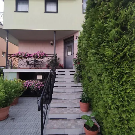 Bialy Rys Władysławowo