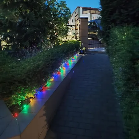 Bialy Rys Władysławowo