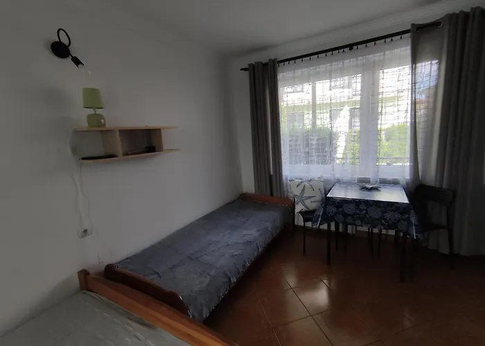 Bialy Rys Władysławowo