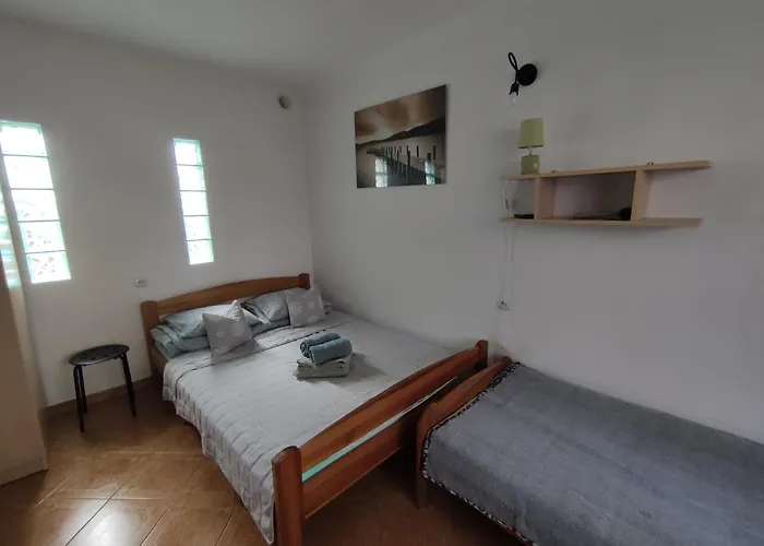 Bialy Rys Władysławowo