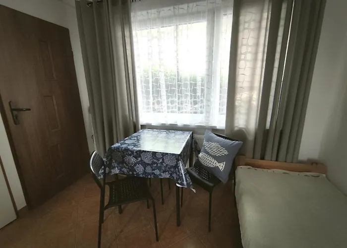 Bialy Rys Władysławowo