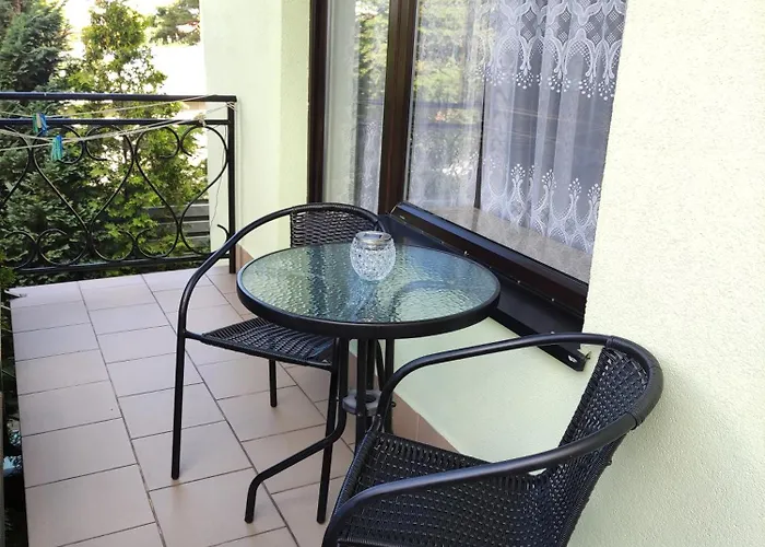 Bialy Rys Władysławowo