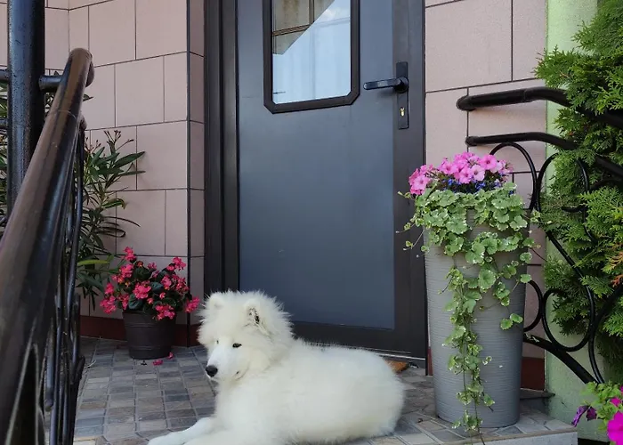 Bialy Rys Homestay szállás *