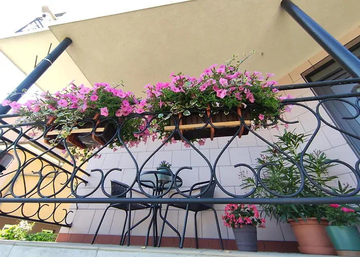 Bialy Rys Homestay szállás *