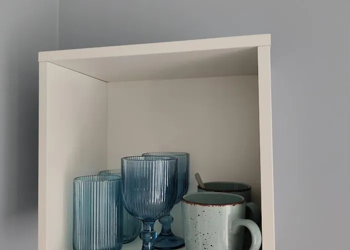 Bialy Rys Władysławowo