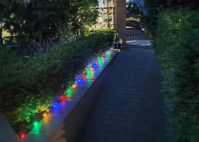 Bialy Rys Władysławowo